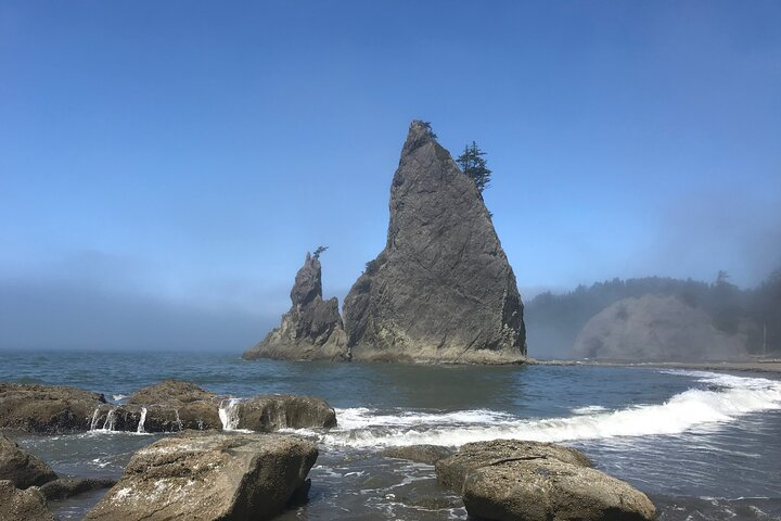Private Day Hike- Rialto Beach Tide Pooling - Photo 1 of 6